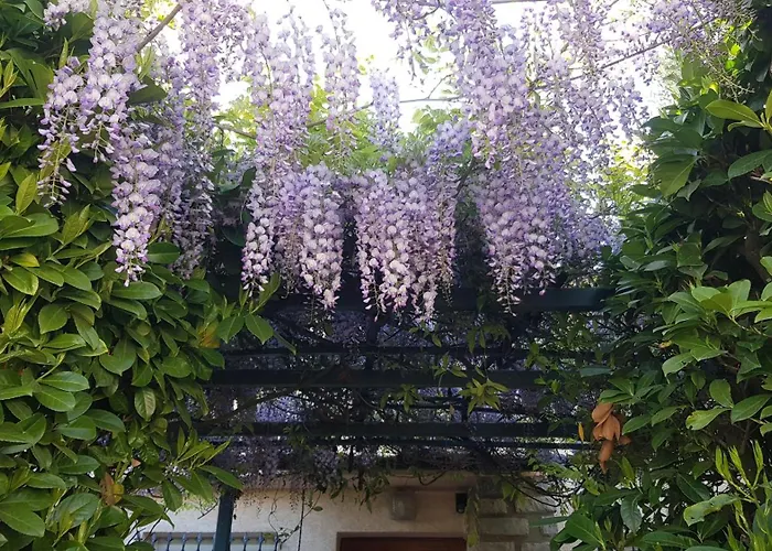 Holiday home New Glycines Independante 2 Jardin Clos Bien Situe Carcassonne